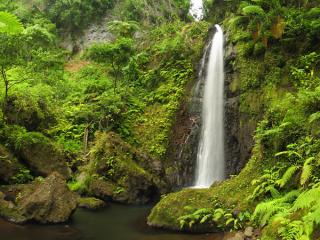 Tanna Island Waterfall
