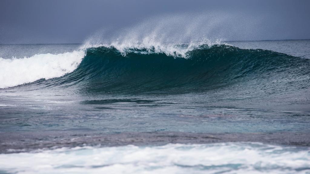 Surf
