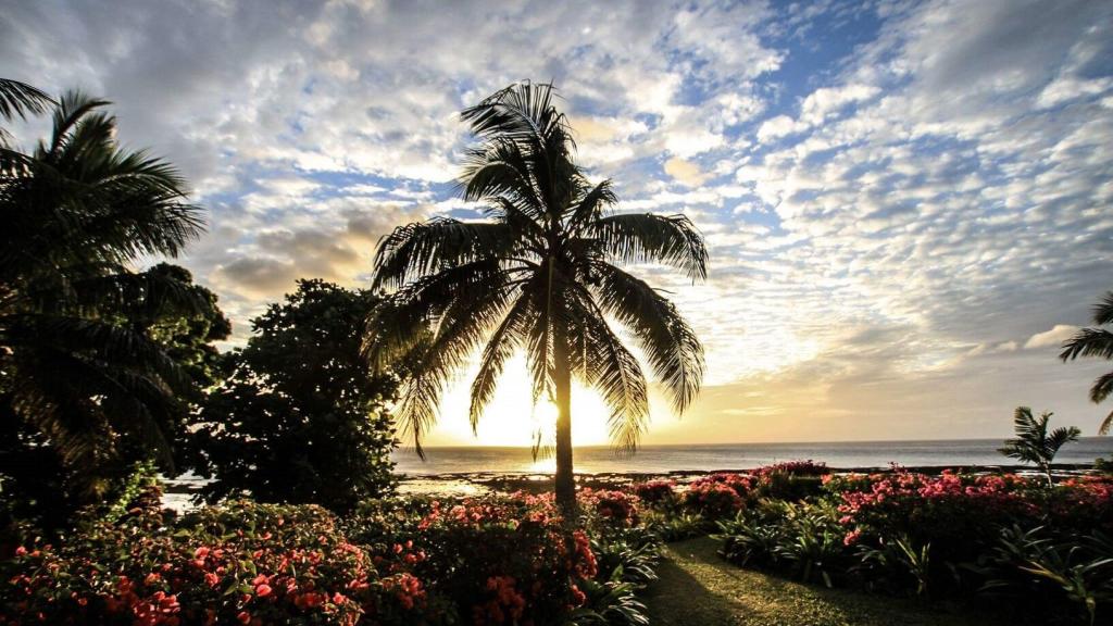 White Grass Ocean Resort & Spa Packages
