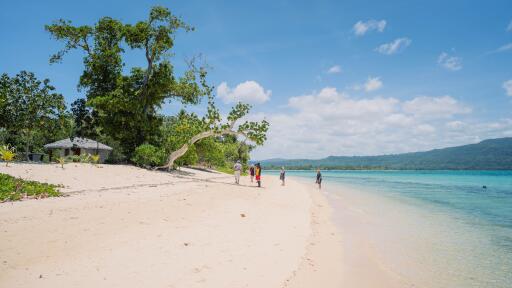 Pele Tour