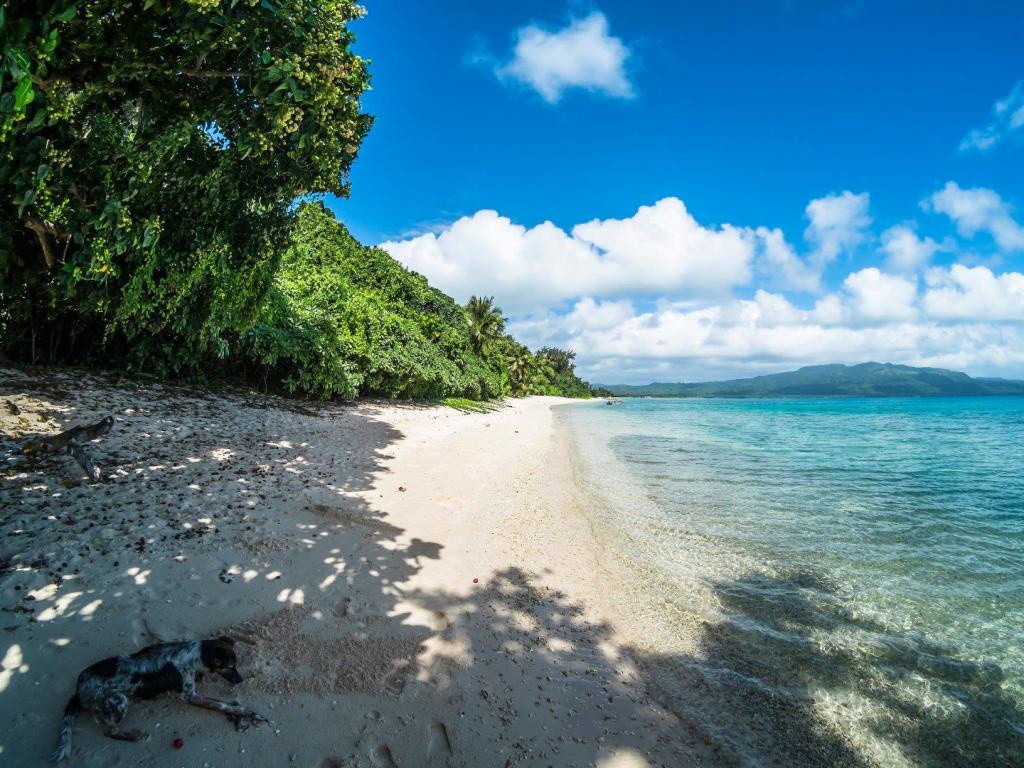 Pele Island Beach & Snorkelling Tour