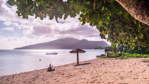 Pele Island Beach & Snorkelling Tour