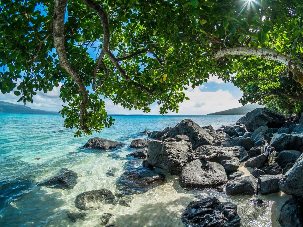 Pele Island Beach & Snorkelling Tour