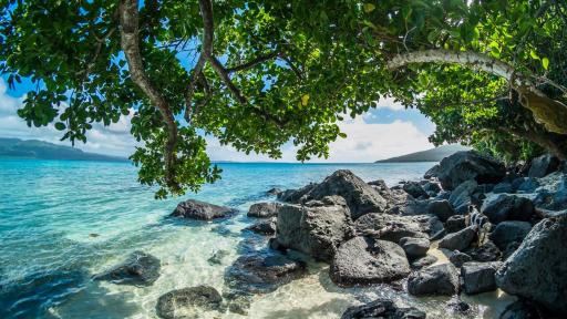 Pele Island Beach & Snorkelling Tour