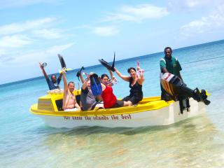 Pele Island Beach & Snorkelling Tour