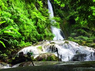 West Coast Explorer - Mele Cascades