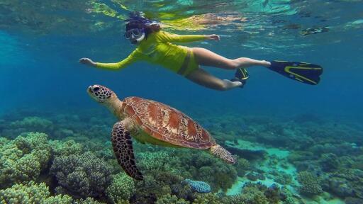 Snorkel and Glass Bottom Boat Cruise