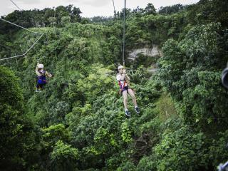 Vanuatu Jungle Zipline