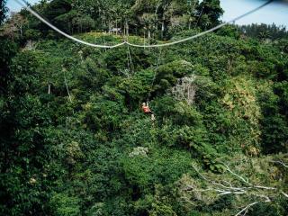 Vanuatu Jungle Zipline