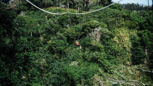 Vanuatu Jungle Zipline