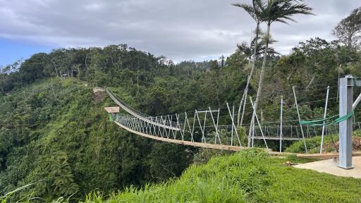 Vanuatu Skybridge