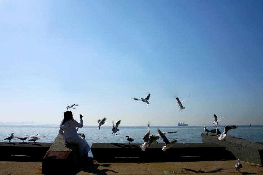 Feeding the Birds Along the Geelong Foreshore