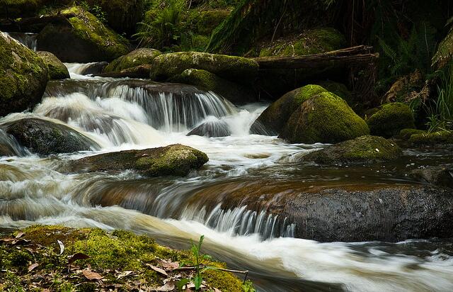 Toorongo River, Gippsland Victoria