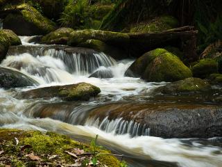 Toorongo River, Gippsland Victoria