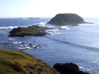 Phillip Island