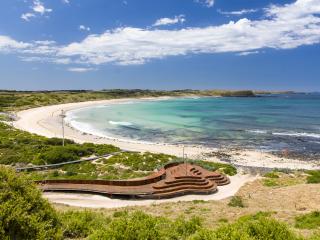 Penguin Viewing Platform - Tourism Victoria