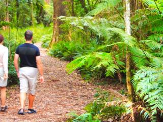 Dandenong Ranges