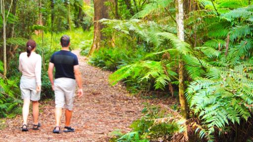Dandenong Ranges