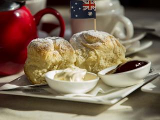 Morning Tea