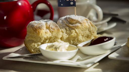 Morning Tea