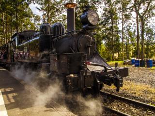 Puffing Billy Steam Train