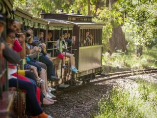 Puffing Billy Steam Train
