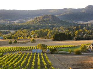 Macedon Ranges Wine Tour