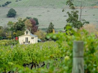 Mornington Peninsula Wine Tour
