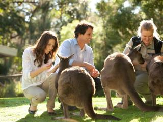 Wine & Wildlife Experience