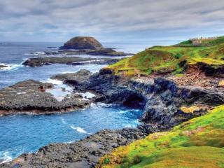Phillip Island Penguins, Koalas & Wildlife