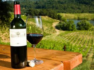 Mornington Peninsula Wine Tour