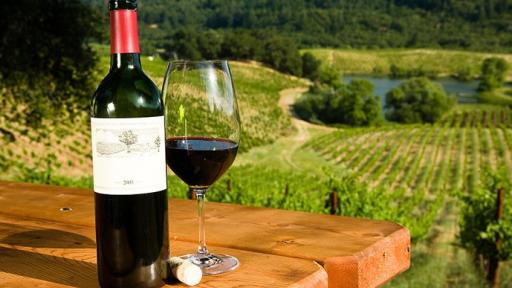 Mornington Peninsula Wine Tour