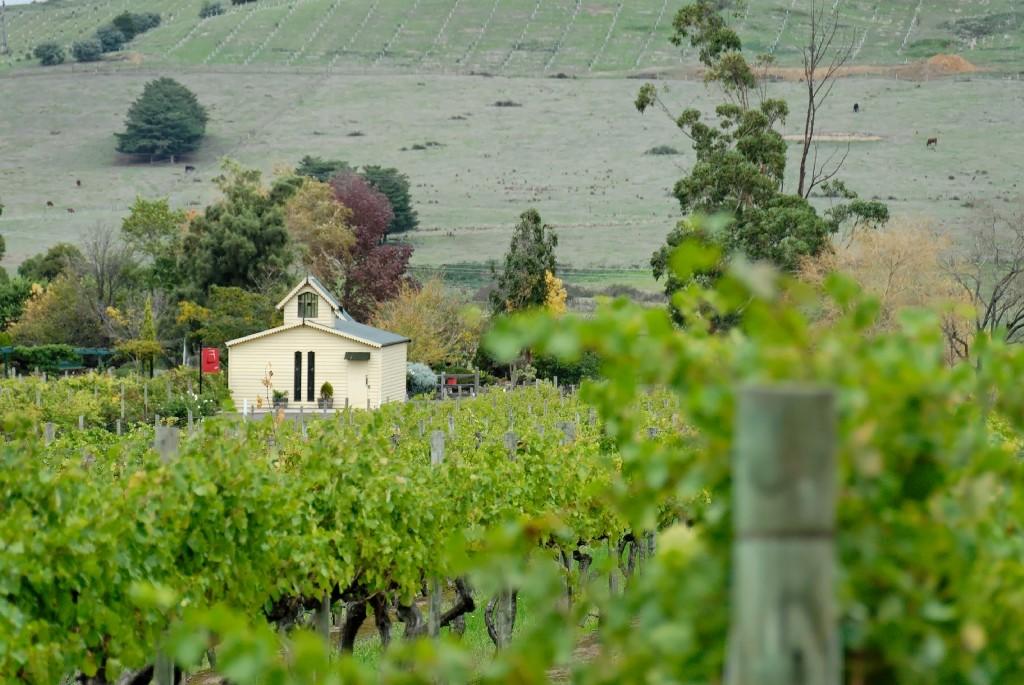 mornington peninsula wine tours for two