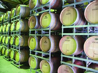 Winery Barrel Room