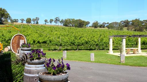 Wine & Wildlife Tour - Fergusson\'s Winery