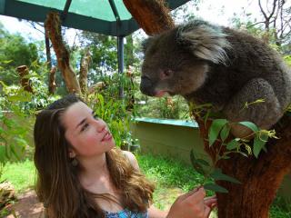 Wine & Wildlife Tour - Healesville Sanctuary