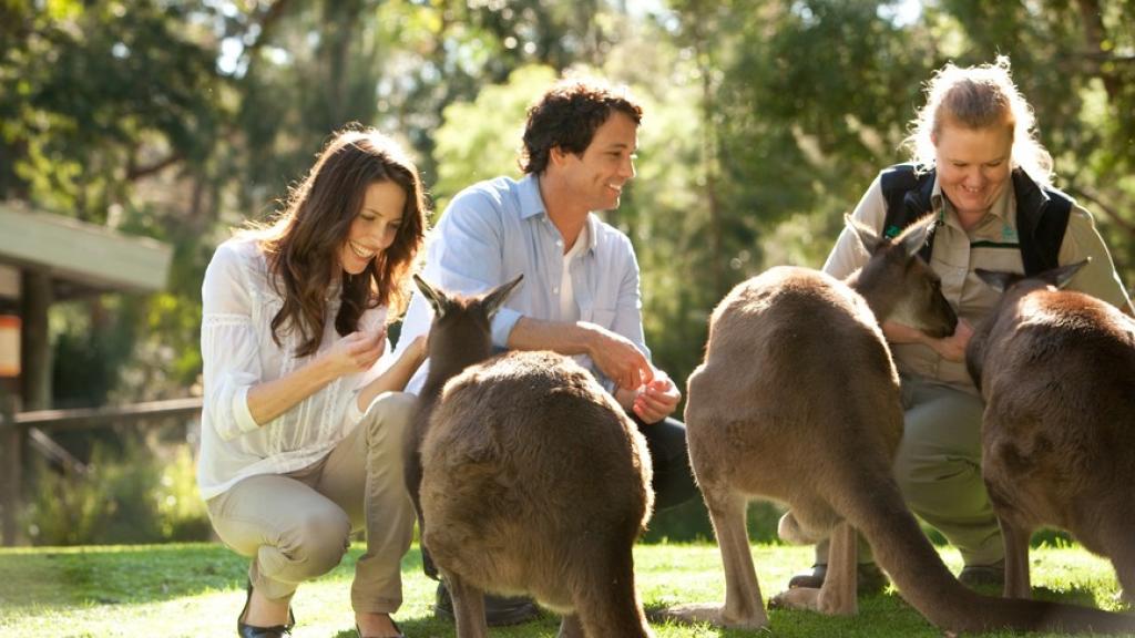 Wine & Wildlife Tour - Healeville Sanctuary