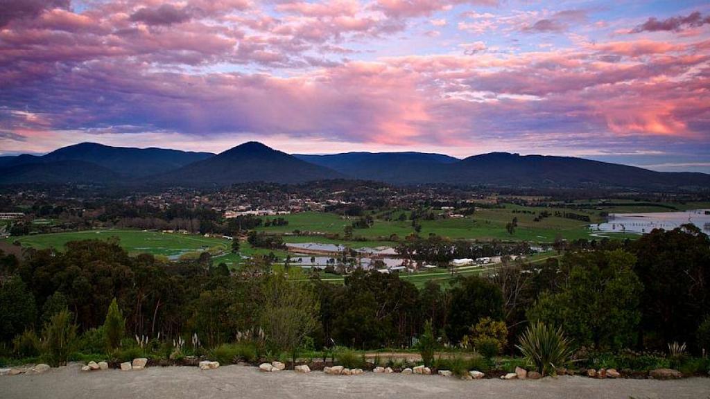 Yarra Valley Wine Tour