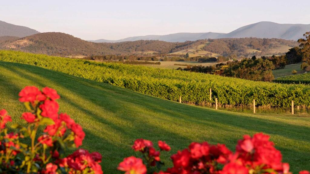 Vineyards