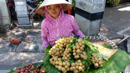 Hanoi Street Food - Street Vendor