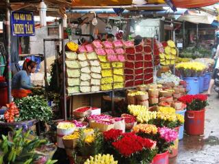 Saigon City Tour - Flower Market Old Saigon