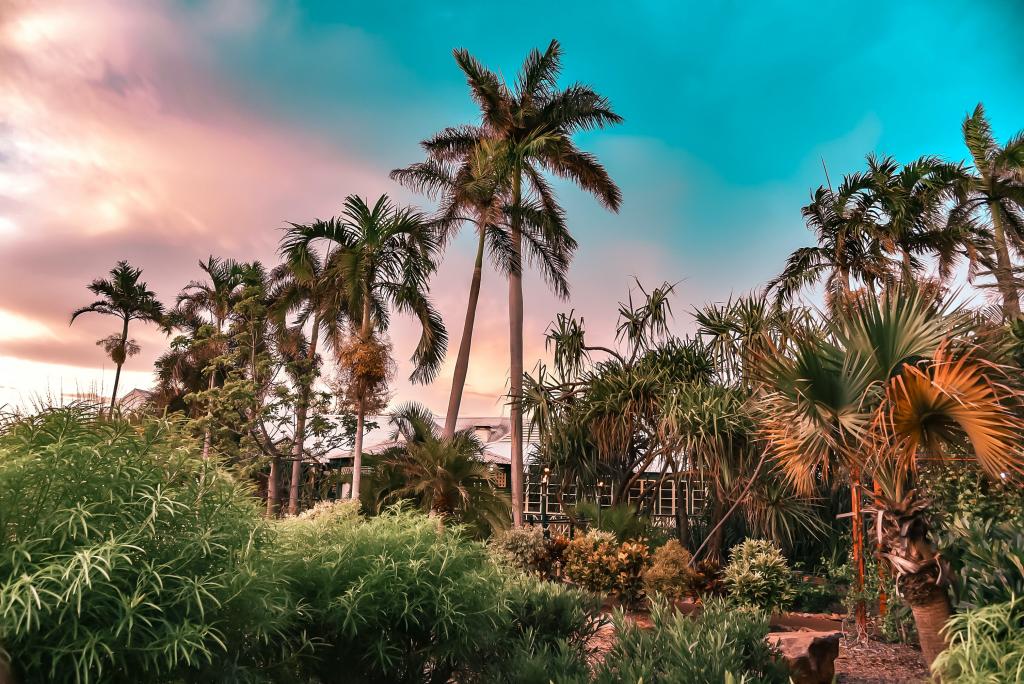 Cable Beach Club Resort & Spa, Broome Accommodation