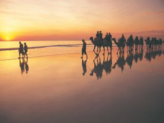 Camel trek on Cable Beach - Tourism Western Australia