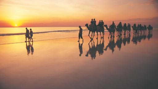 Camel trek on Cable Beach - Tourism Western Australia
