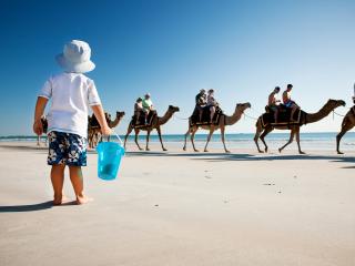 Camels on Cable Beach