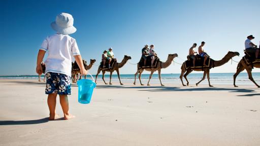 Camels on Cable Beach