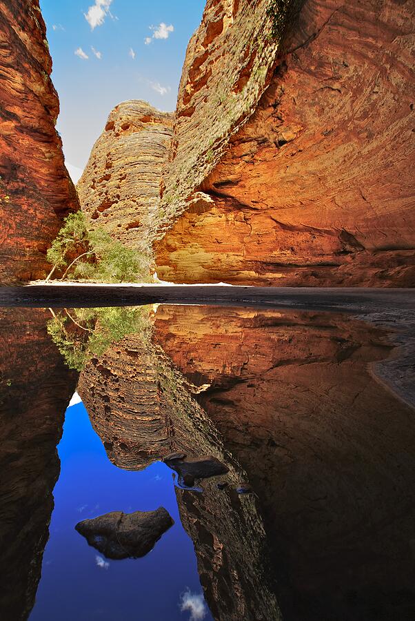 Cathedral Gorge, Purnululu National Park, Kimberly