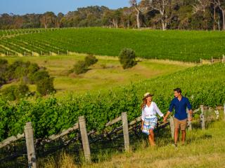 Wills Domain, Margaret River - Tourism Western Australia