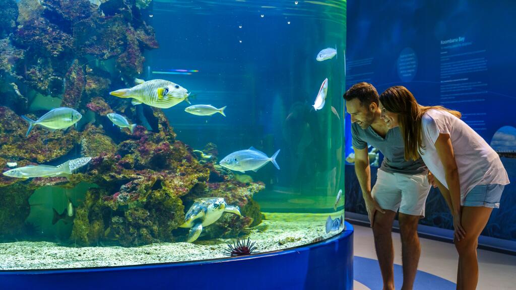 Dolphin Discovery Centre Bunbury - Tourism Western Australia