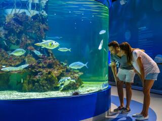 Dolphin Discovery Centre Bunbury - Tourism Western Australia